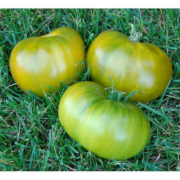 Culina Botanica Rajče Kiwi