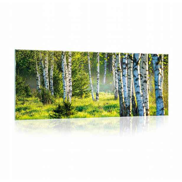 Obraz na skle Krajina Les Příroda 125x50