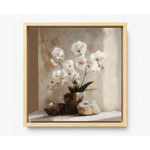 Obraz Rám Americký Box Dekorace Květiny Bílý Orchidej Zen 60x60