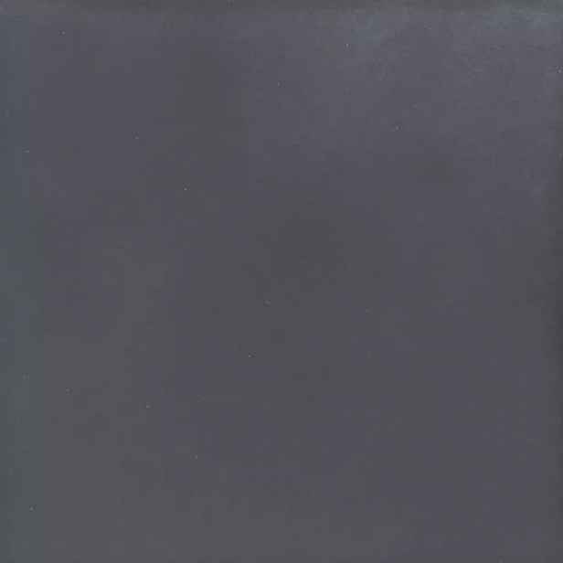 Dlažba Black 29,8/29,8