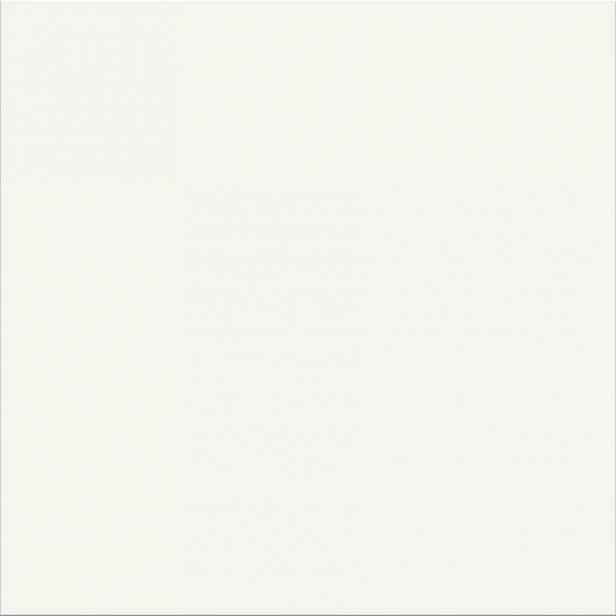 Dlažba White 29,8/29,8