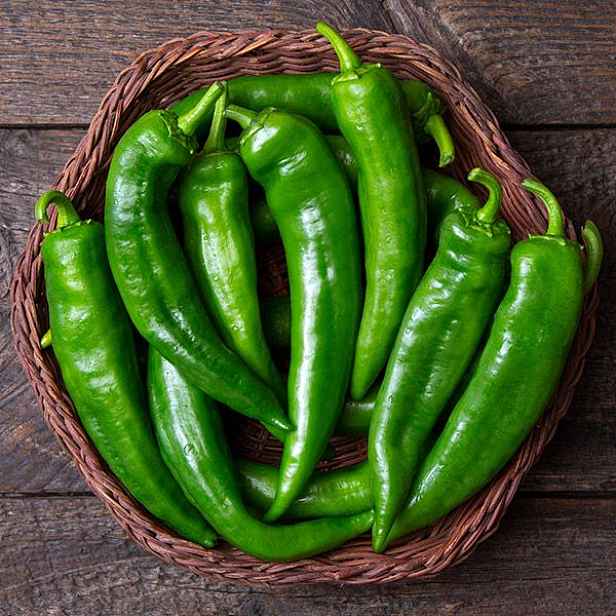 Culina Botanica Paprika Anaheim
