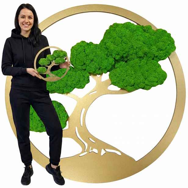 Strom Z Mechu chrobotka Obraz živý mech Reniferový Bonsai Dekorace