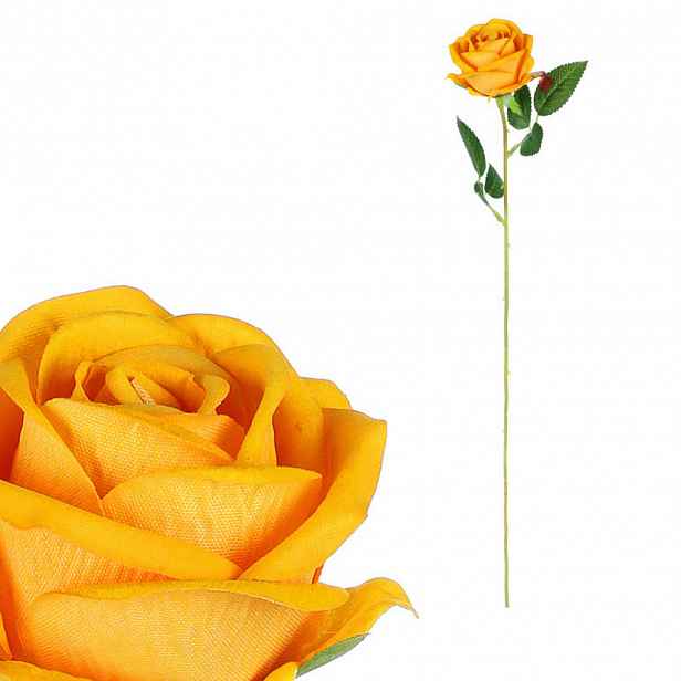 RŮŽE 52 cm