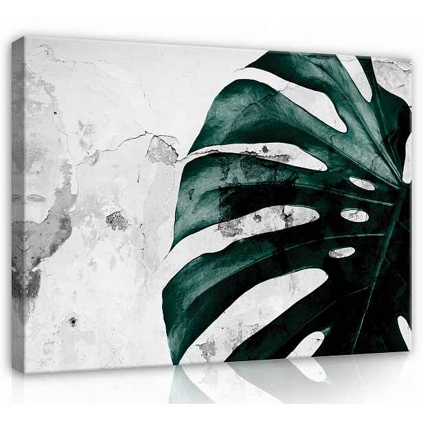 Obraz Na Plátně Canvas 80x60 List Monstera Beton Rostlina Stěna Imitace