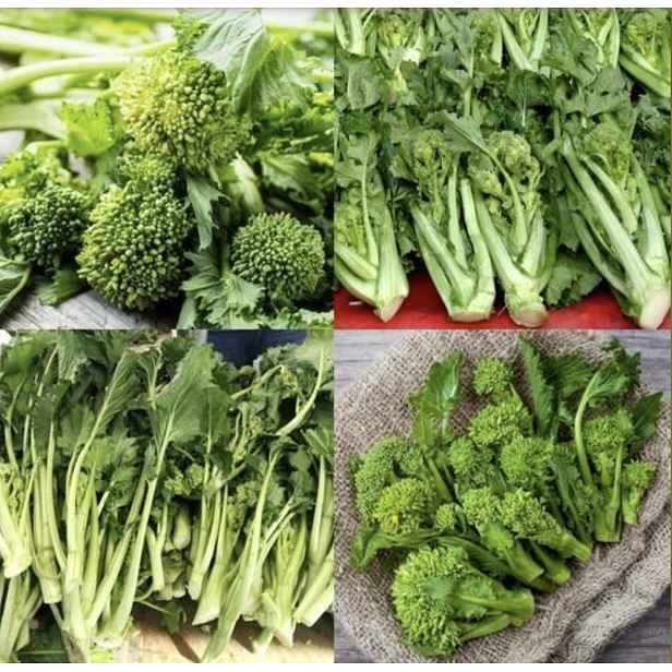 Culina Botanica Brokolice Raab