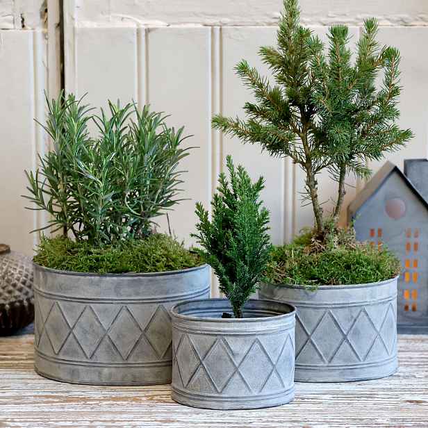 Sada 3ks zinkových květináčů se vzorem Zinc Antique – 18*13*12/ 15*11*10/ 12*9*9 cm Chic Antique