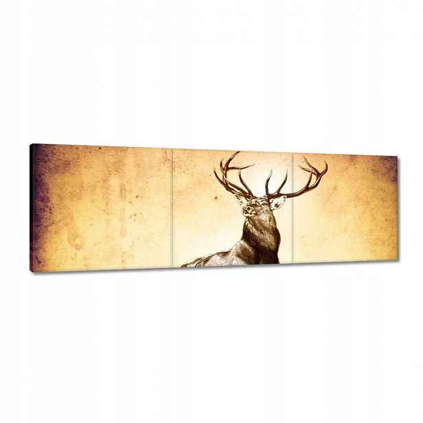 Obrazy 150x50 Jelen s rohy
