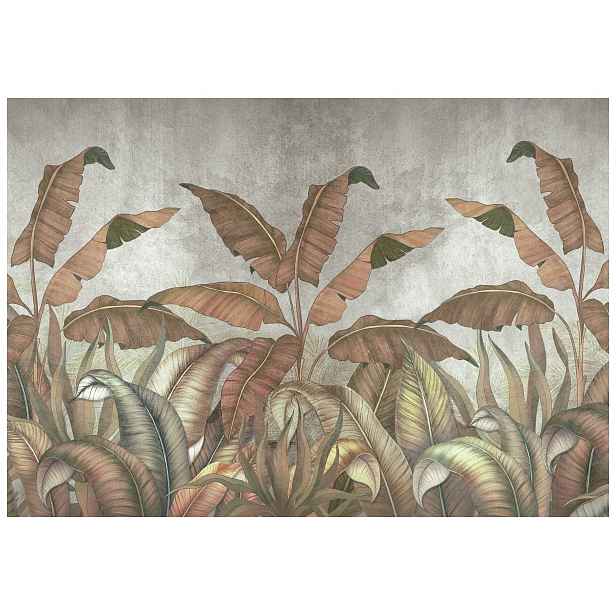 Tapeta Listy banánovníku tropické Hnědozelené tóny 208x146 lepidlo