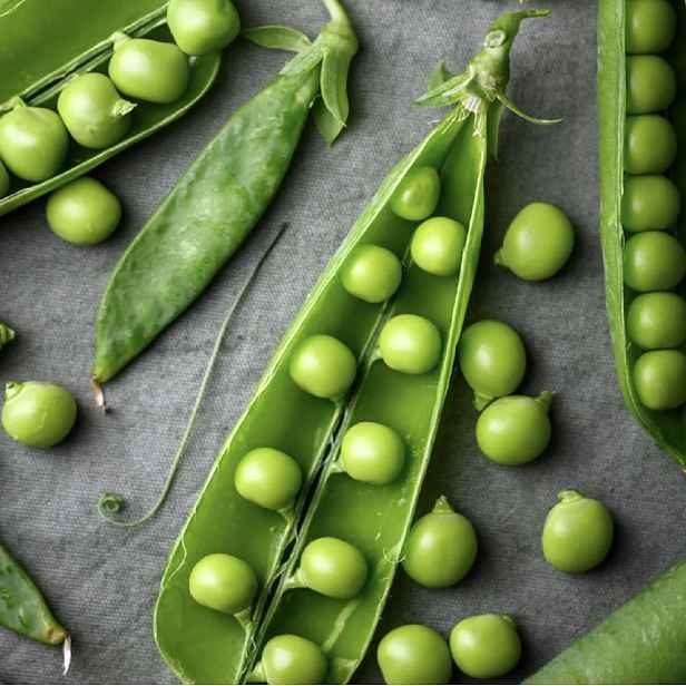 Culina Botanica Hrách Vládce trhu 