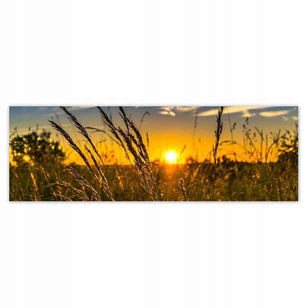 Fototapety 200x66 Západ slunce mezi trávou