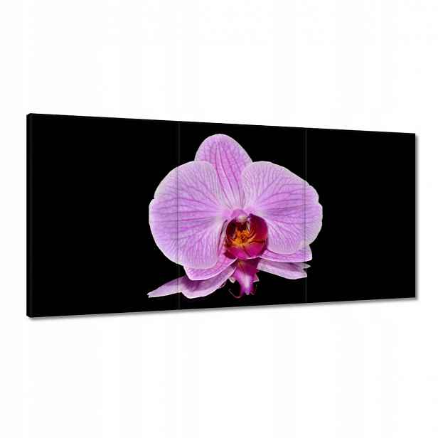 Obrazy 180x90 Fialový orchidej