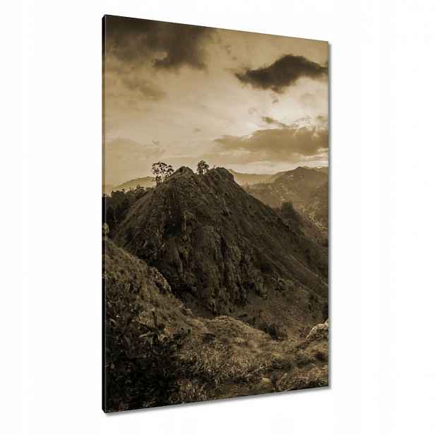 Obrazy 80x120 Hnědá krajina Krajina