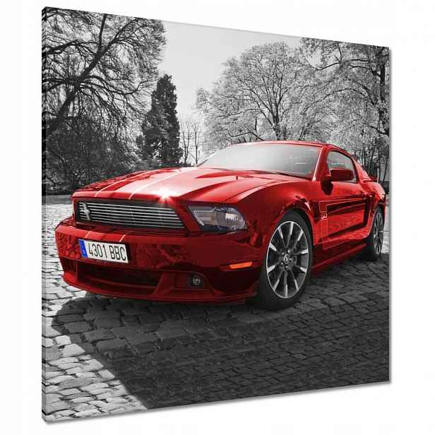 Obrazy 80x80 Červený Mustang