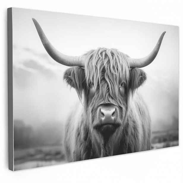 MuchoWow OBRAZ NA PLÁTNĚ Skotský horal - Mlha - Černá - Bílá 30x20 cm
