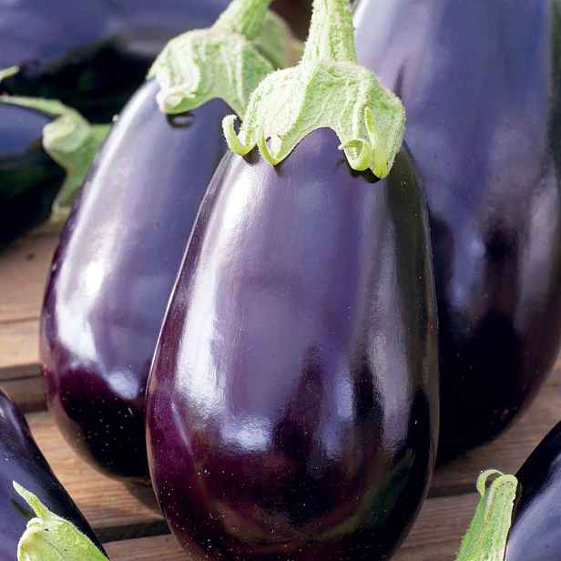 Culina Botanica Lilek Black Beauty
