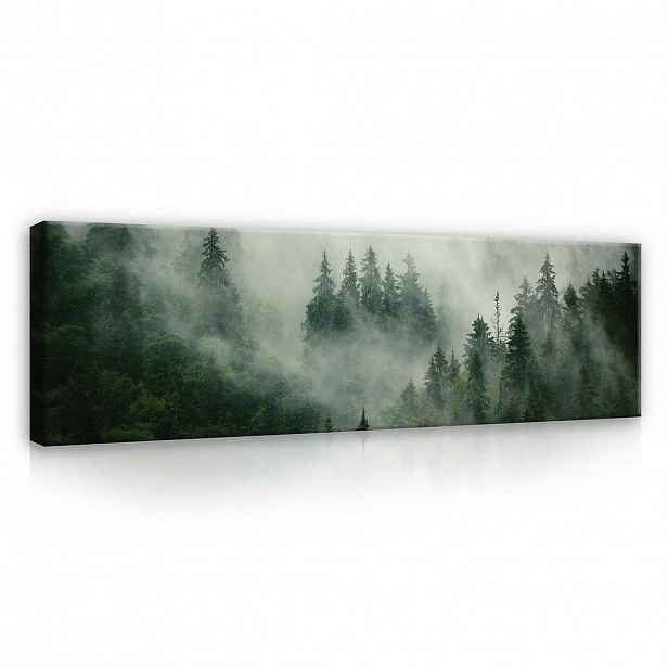 Wallarena OBRAZY Lesní mlha Moderní obývací pokoj Ložnice 145x45