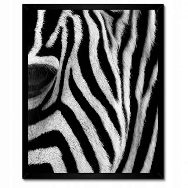 Plakáty v rámu 40x50 Černobílé pruhy Zebra