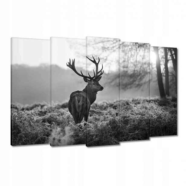 Obrazy 150x95 Černobílý jelen
