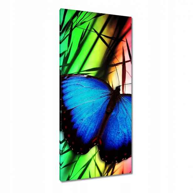 Obrazy 55x115 Modrý motýl