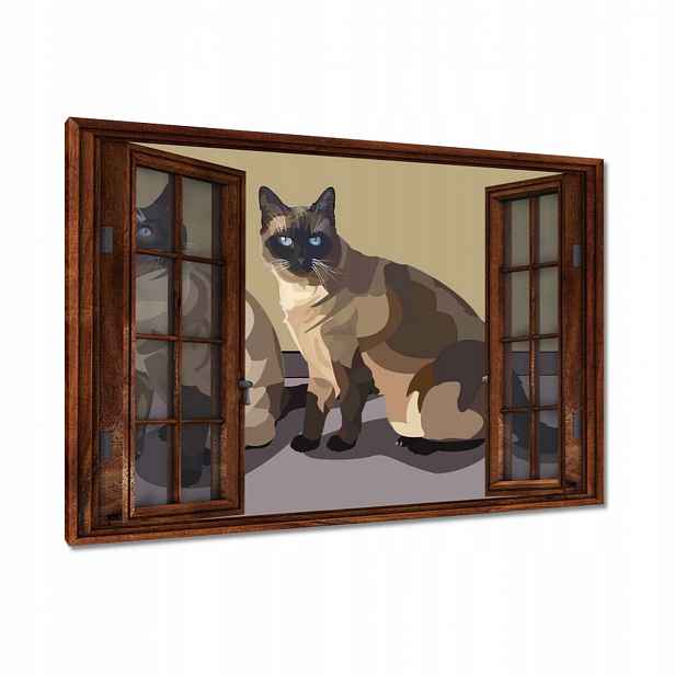 Obrazy 120x80 Kočka Kotě Kočky
