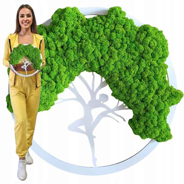 Obraz z mechu Strom štěstí Bonsai z mechu sobího chrobota