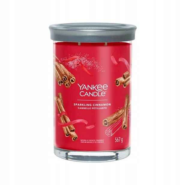 Yankee Candle Sparkling Cinnamon vonící sklenice se 2 knoty 567 g