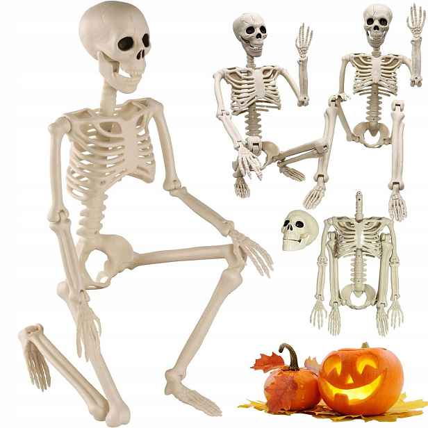 Kostra Člověka Kostlivec Velká 94 CM Dekorace Halloween Kosti
