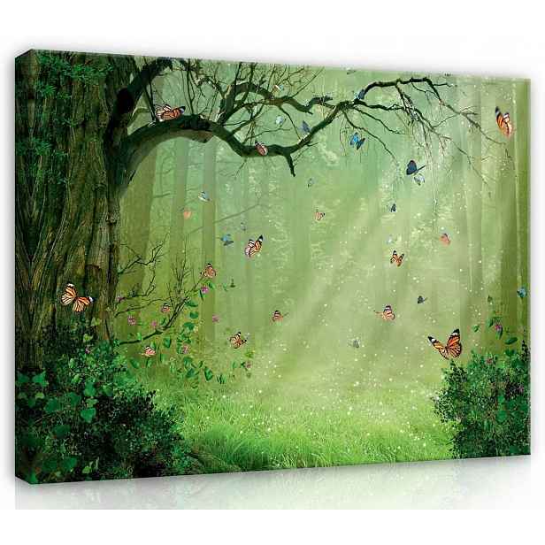 Obraz Na Plátně Canvas 120x80 Krajina Les Stromy Motýl Pohádka