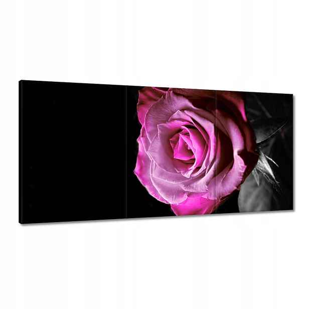 Obrazy 120x60 Fialová růžička