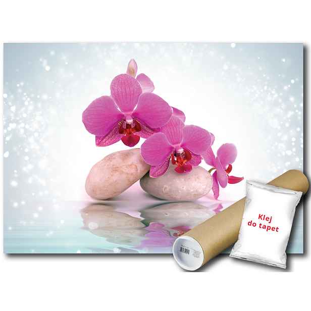 Fototapeta Růžové Orchideje 9D V4 254x184 F3666
