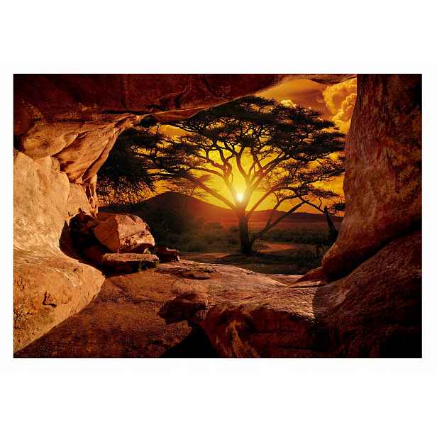 Fototapeta Safari Afrika 3D Jeskyně Pohled 312x219