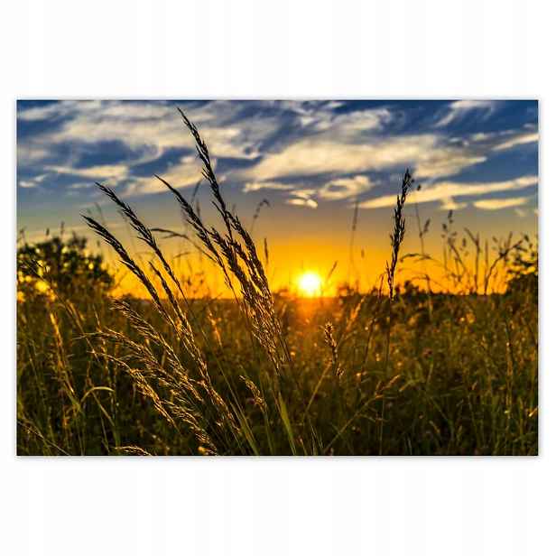 Fototapety 152x104 Západ slunce mezi trávou
