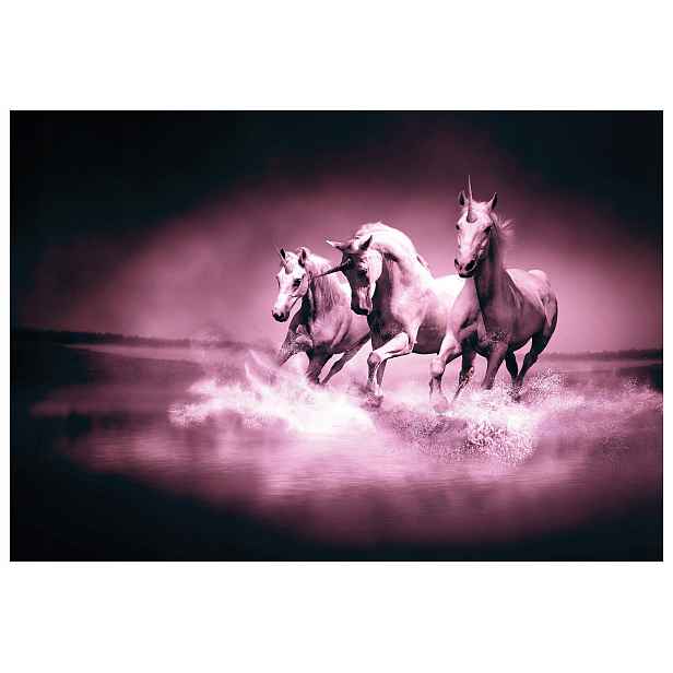 Vliesová fototapeta Jednorožci Fantazie Galop Růže Fialová 368x254 lepidlo