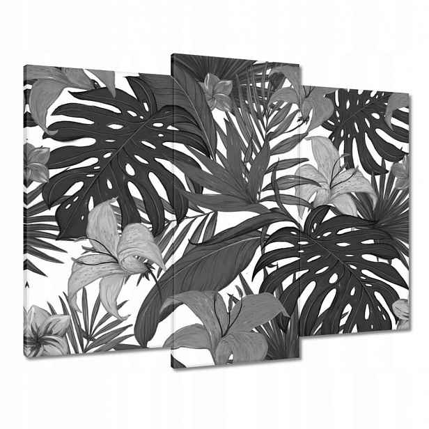 Obrazy 90x70 Černobílá monstera