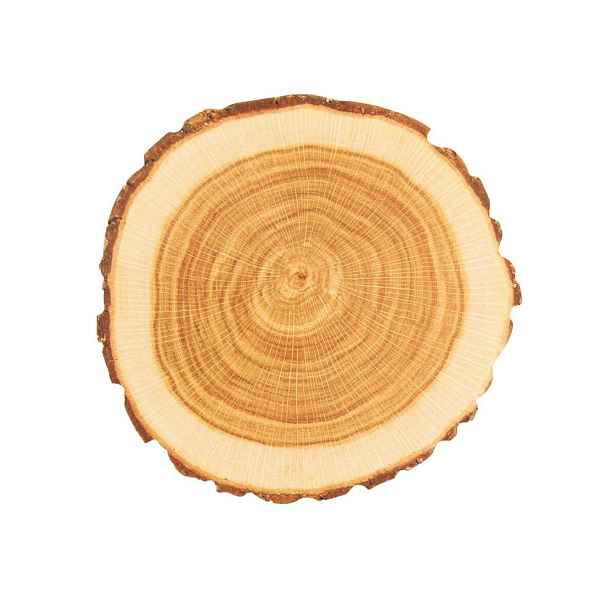 Podtácek WOODEN 10 ks