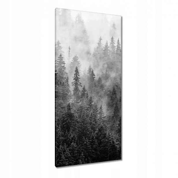 Obrazy 55x115 Krajina Šedá Hory Mlha