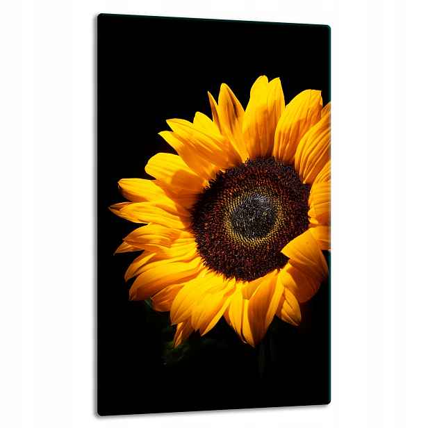 7v1 Skleněná Deska Panel Deska 30x52 Květina