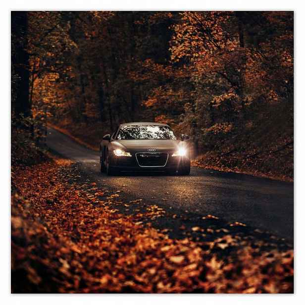 Plakáty 140x140 Audi Podzimní krajina