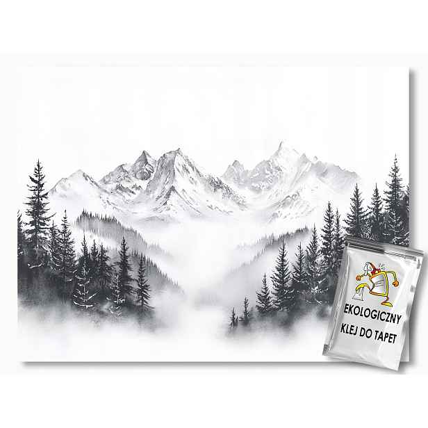 Fototapeta Flizelina Hory Vrcholy Les Stromy Zima Sníh B&w 254x184 130g