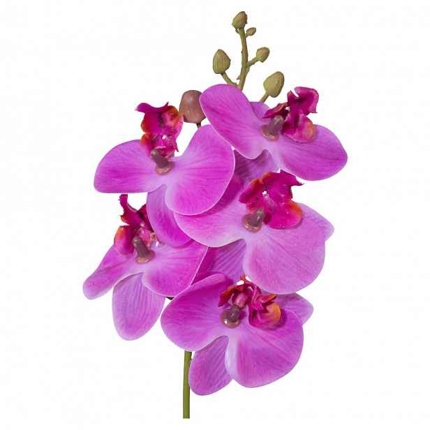 Umělá Rostlina Phalaenopsis, V:27cm,ružová