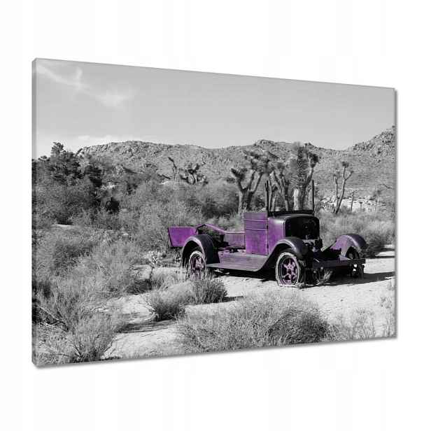 Obrazy 80x60 Fialové auto