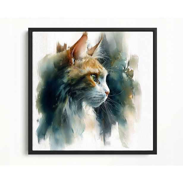Obraz Rám Americký Box Akvarel Portrét Zvíře Rudý Bílý Kocour 50x50