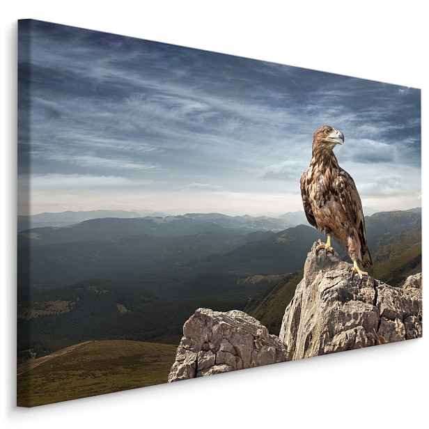 MyBestHome BOX Plátno Orel Na Vrcholu Hory Varianta: 100x70