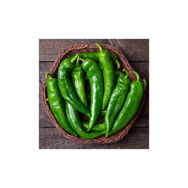 Culina Botanica Paprika sladká Anaheim