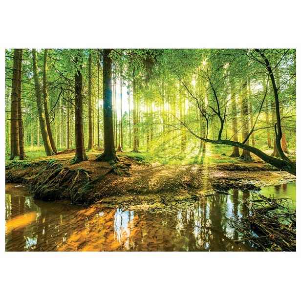 Fototapeta Les Slunce Stromy Příroda 3D Tapeta Do Předsíně Pokoje 460x300