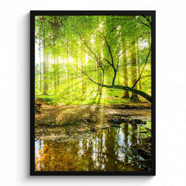 MuchoWow PLAKÁT V RÁMU Les - Krajina - Voda - Stromy - Slunce - Zeleň - Příroda 60x80 cm