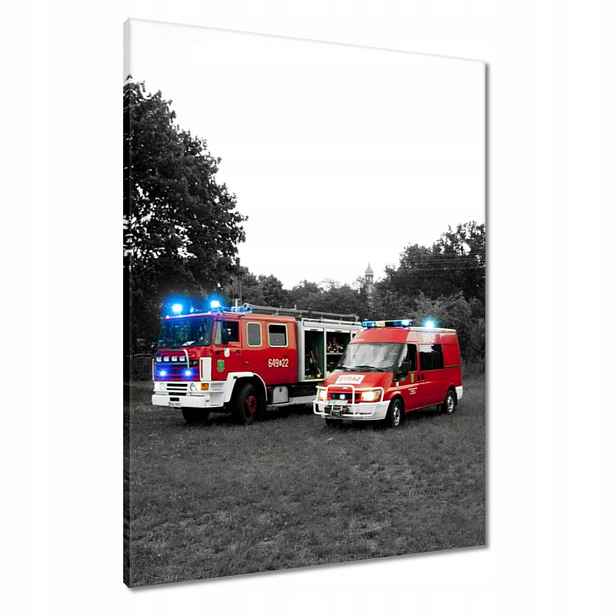 Obrazy 60x80 Hasiči