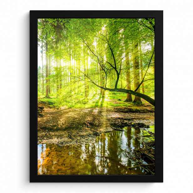 MuchoWow PLAKÁT V RÁMU Les - Krajina - Voda - Stromy - Slunce - Zeleň - Příroda 30x40 cm