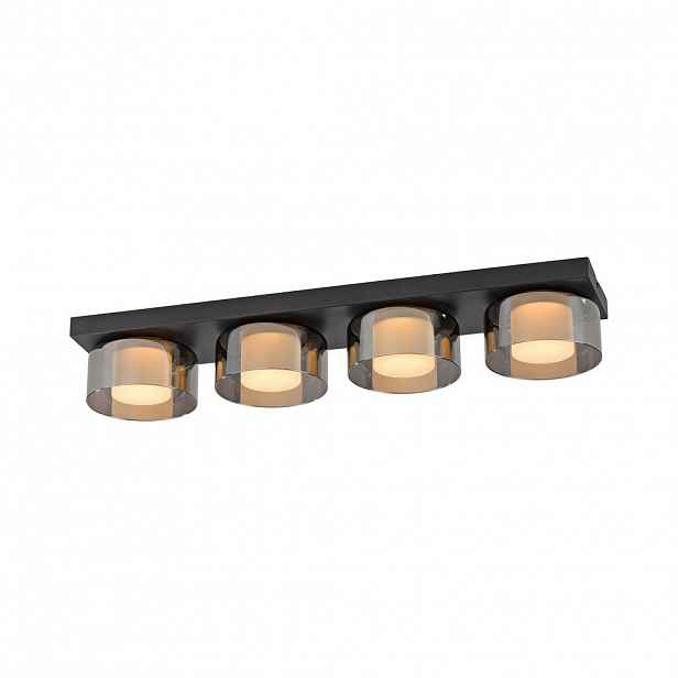 Paul Neuhaus STROPNÍ LED SVÍTIDLO, 70/15/10 cm